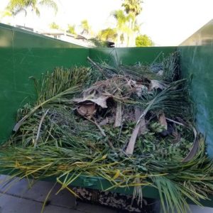 Yard Waste Disposal and Recycling